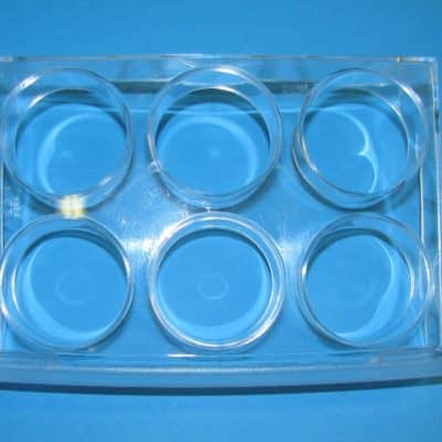 Tojástartó hűtőbe